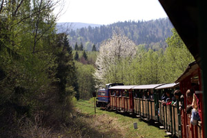 Lesní železnice se kroutí malebným údolím