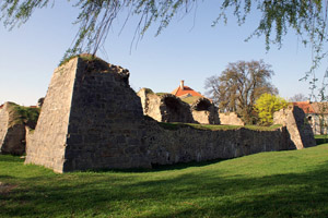 Opevnění hradu Lipý