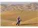 Abu Dhabi Desert Challenge 2014 - video