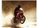 Africa Twin & X-ADV Test Days