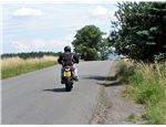 buell 16