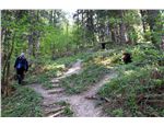 Bieszczady 09 092 - síť bunkříků pod Duklou