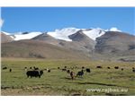 tibet_075.jpg