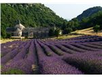 france_abbey_de_senanque_3.jpg