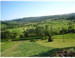 RO2011_03_321