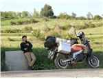 RO2011_03_353