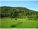 RO2011_03_470