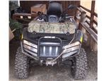 Arctic Cat 700_004