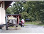 Zwickau_7130059