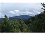 Zwickau_7140297