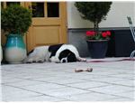 Zwickau_7140477