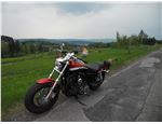 Sportster XL1200CA_013