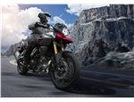 2014 V-Strom 1000_026