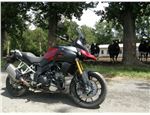 V-Strom (16)