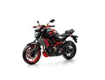 Yamaha MT-07 Moto Cage