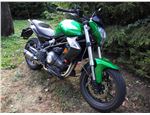 Benelli BN302 (51)