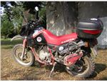 Cagiva_Elefant_ (15)