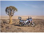 Honda Africa Twin Adventure Sports 1100 17