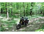 Indian FTR1200S Race Replica 08 Indian FTR1200S Race Replica 08