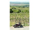 Indian FTR1200S Race Replica 22 Indian FTR1200S Race Replica 22