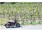 Indian FTR1200S Race Replica 23 Indian FTR1200S Race Replica 23
