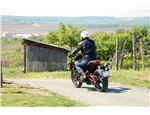Indian FTR1200S Race Replica 29 Indian FTR1200S Race Replica 29