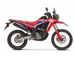 Honda CRF300 Rally 06