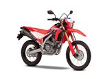 Honda CRF300L 06