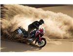 Africa Twin_010