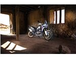 Africa Twin_021