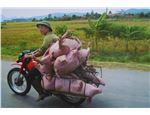Vietnamem na motorce 52